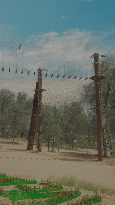 Glamping-Themed Outdoor Birthday Packages for a Unique Experience